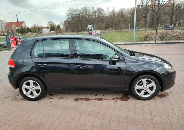 dolnośląskie Volkswagen Golf cena 22800 przebieg: 237000, rok produkcji 2009 z Chojna